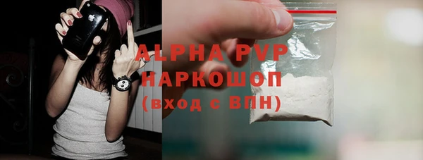 стаф Кулебаки