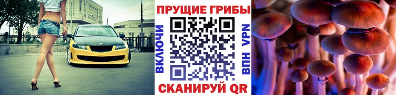 shop Telegram  Стародуб  Галлюциногенные грибы Magic Shrooms 